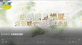 蟲(chóng)螨腈虱螨脲視頻彩鈴