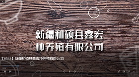 新疆和碩縣鑫宏種養殖